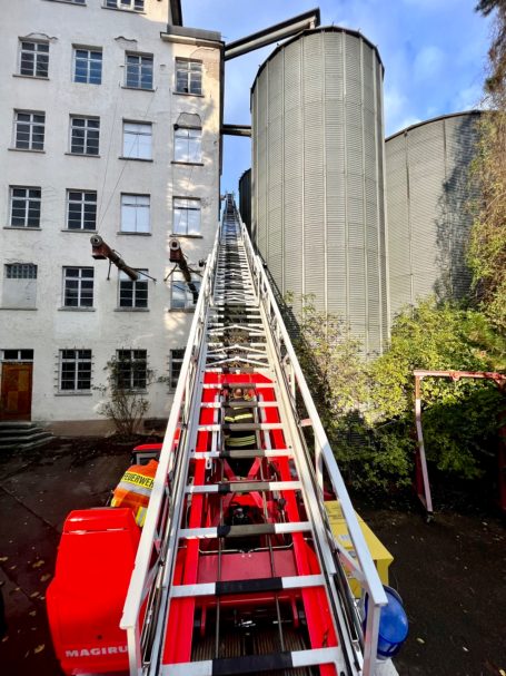 Korbabnahme, ein wichtiges Thema